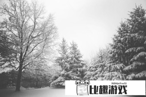 珠海旋挖桩机倾倒事件引发关注，官方通报给出明确说法