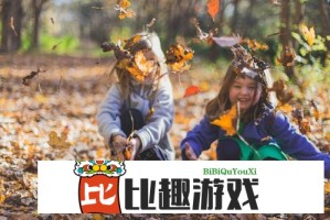 实测可用！哪个浏览器可以看禁止访问的网站推荐