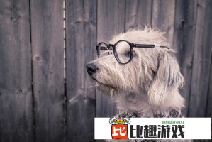 印度停火决定背后的军事与外交双重考量