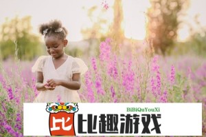 亚洲和欧洲一码二码区别：为什么这么重要？
