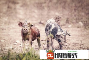 斗战神盘丝洞最强职业推荐，哪个职业刷本最快？