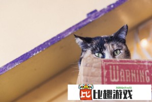 全炫茂BoA醉酒直播被骂上热搜！节目组回应争议