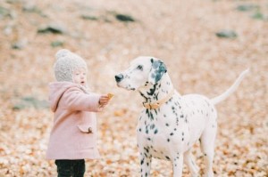 代孕合同怎么签？代孕协议的法律效力与注意事项