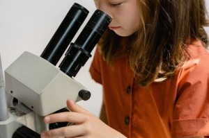 周启豪樊振东荒岛求生组合引热议，专业人士分析生存几率