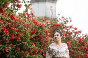 《蛮好的人生》：为啥人人都爱这个不完美的“大女主”