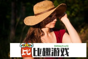 成免费CRM特色VIP有哪些优势？为什么它适合中小企业？