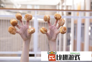 优时颜声明刷屏：创始人亲自回应倒闭传闻