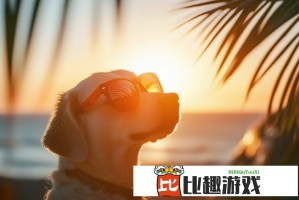 专业投资者都在用的免费行情软件APP网站，你下载了吗？