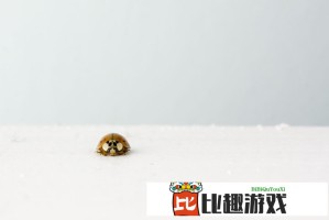 高中双休影响升学？数据告诉你休息与成绩的真实关系