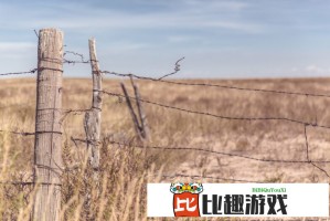 情感专家解读：男生女生一起相差差差差该如何相处？