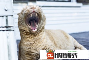 身高差cm！一米六八小伙与两米二女孩的甜蜜日常曝光
