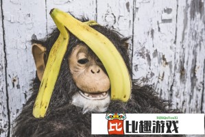新浪财经CEO邓庆旭：IP产业已成为文化传媒赛道的新质生产力