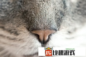 “相信在中国市场能有更多收获”