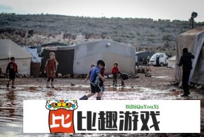 AAAA级毛皮和AAAA级哪个高？深入解析两者差异与选择技巧