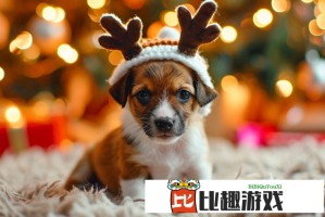 雷军身家缩水百亿！小米股价暴跌%引发行业震动