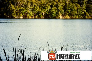 王安忆：如果让我好好地上了大学，我会做得比今天更好