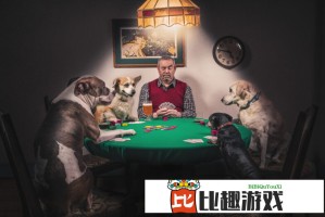 粗心主人服务区忘狗，忠犬狂奔追车数公里引热议
