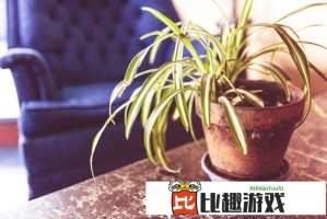 从上海喂奶门看中国哺乳文化：是时候改变观念了