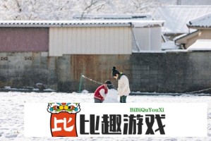 全面了解官网c，让你轻松驾驭这一强大工具