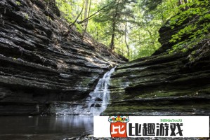 郑钦文创造历史！Ace球率创新高，萨巴伦卡赛后坦言被打懵