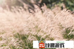 京东快递员年收入超百万引热议，快递行业薪资水平大起底