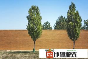 岁女孩称遭女教官体罚：'我以为妈妈同意她打我'，事件引发热议
