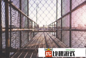 黄频漫画下载指南：如何安全获取资源