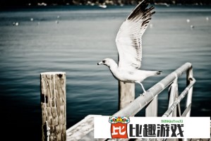 特朗普如何用'特效减肥药'策略重塑美国经济？内幕揭秘