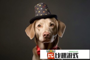 大疆Mavicro值得买吗？深度评测告诉你真实体验