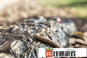 如何在日本找到免费的音乐？探索一曲二曲三曲四曲背后的秘密！