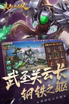 真赵云无双截图5