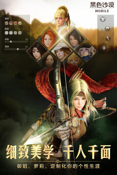 黑色沙漠截图5