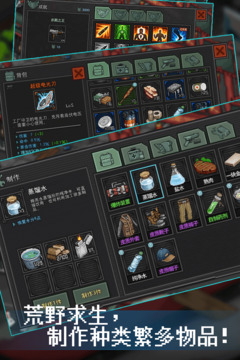 像素危城截图5